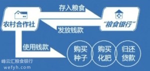 shiti-300x143.jpg