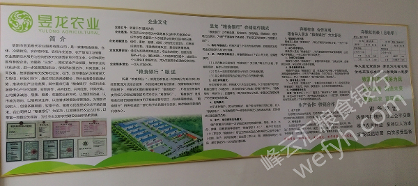 yulong2.jpg